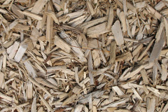biomass boilers Bickton